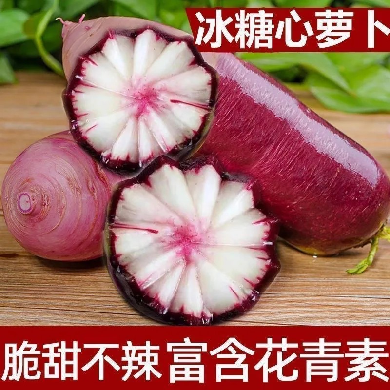甜脆多汁可生吃的紫皮冰淇淋冰糖水果萝卜种子适合家庭种植