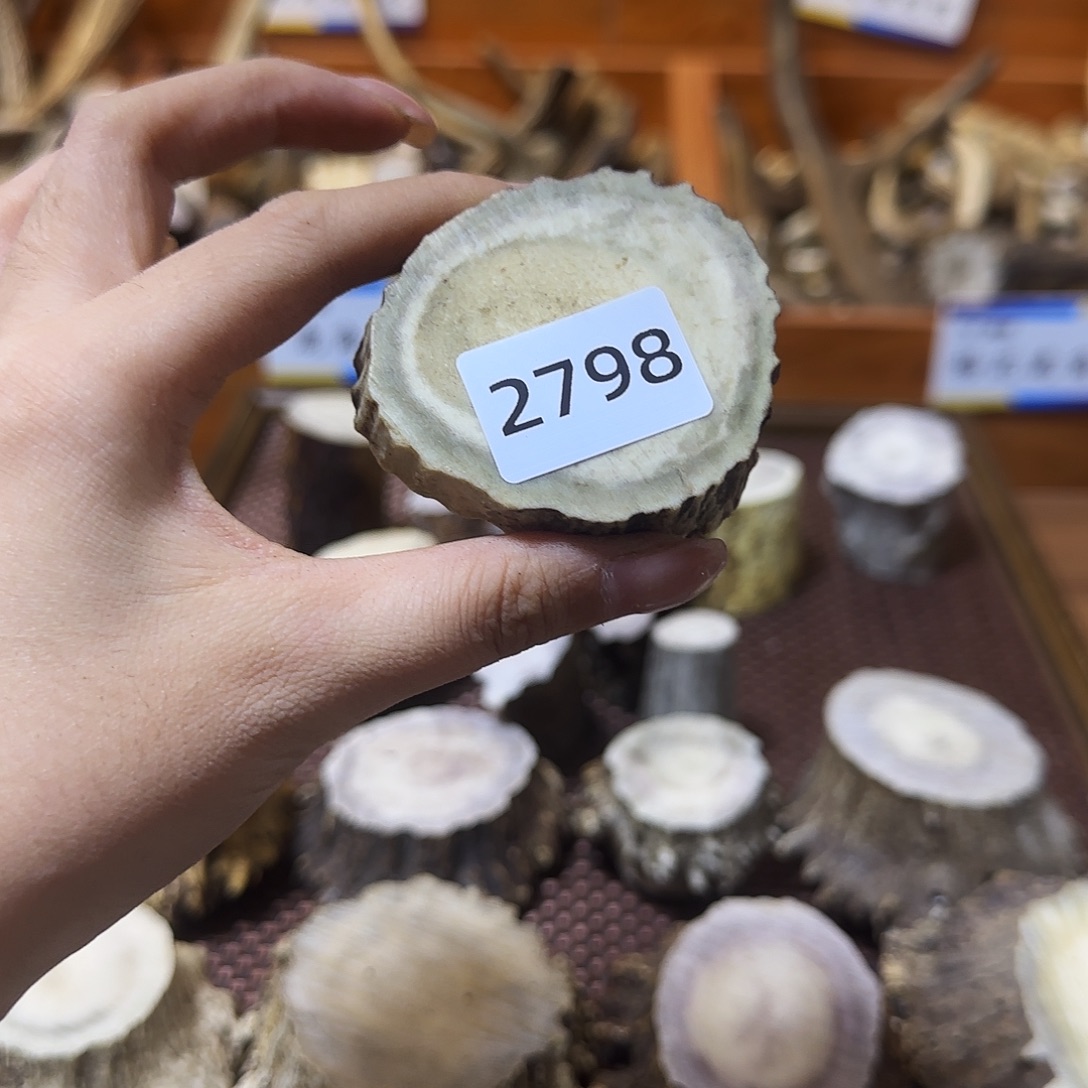 手串/手链鹿骨角片2798