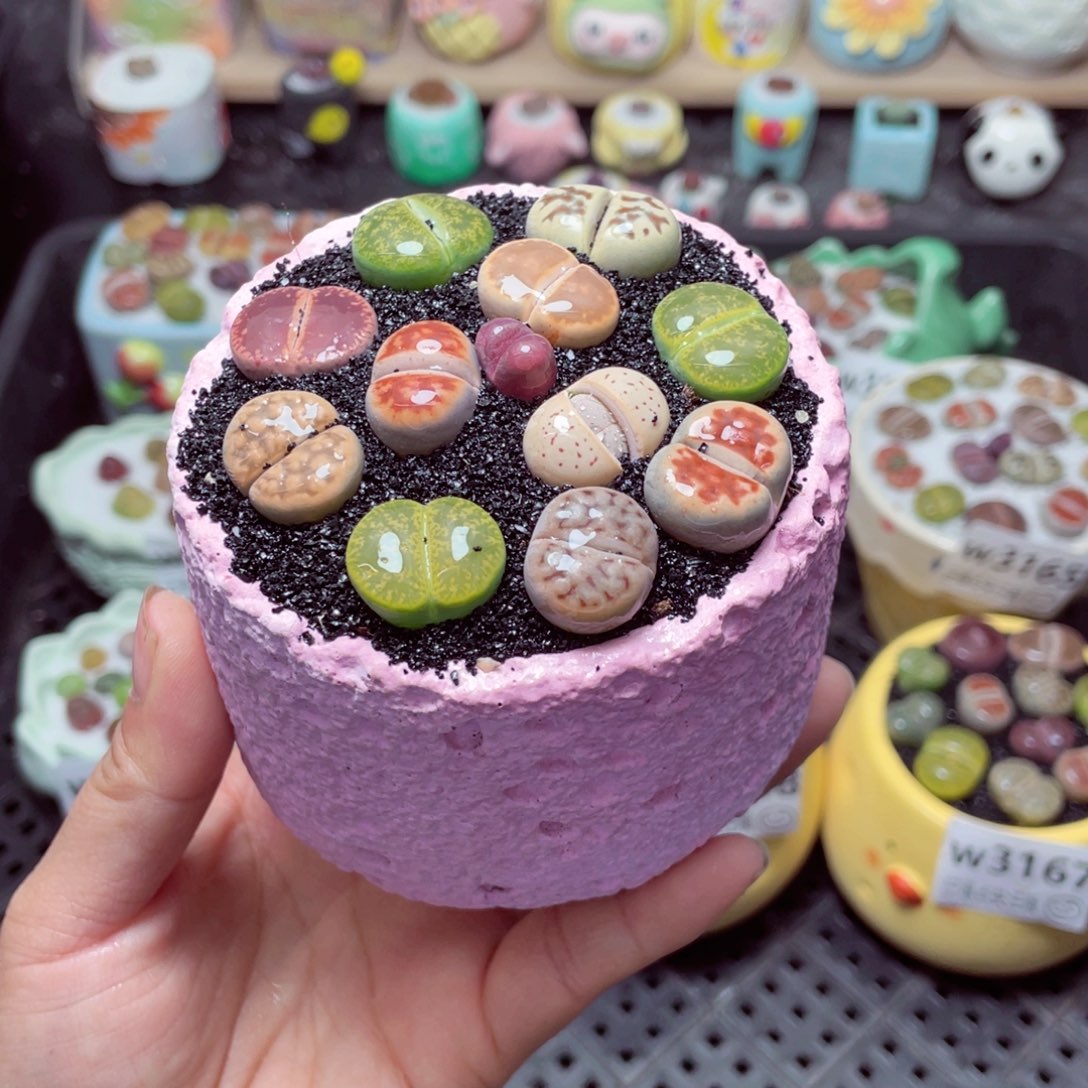 w3169 带盆土发货-零下地区拍保温箱