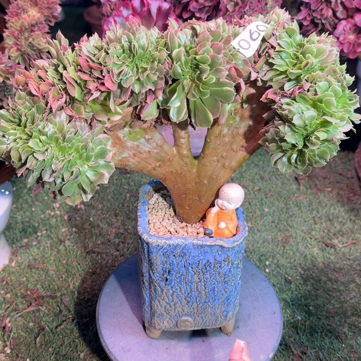 香妃法师锦缀化060