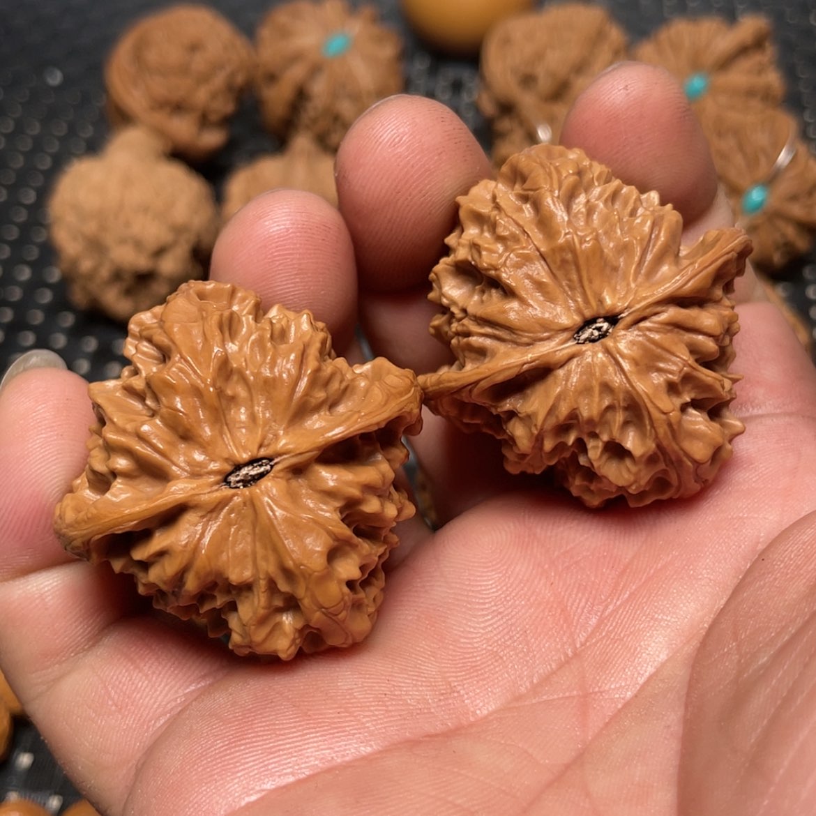 【闪购商品】文玩核桃把件И****?39野生白蛇谷狮子头