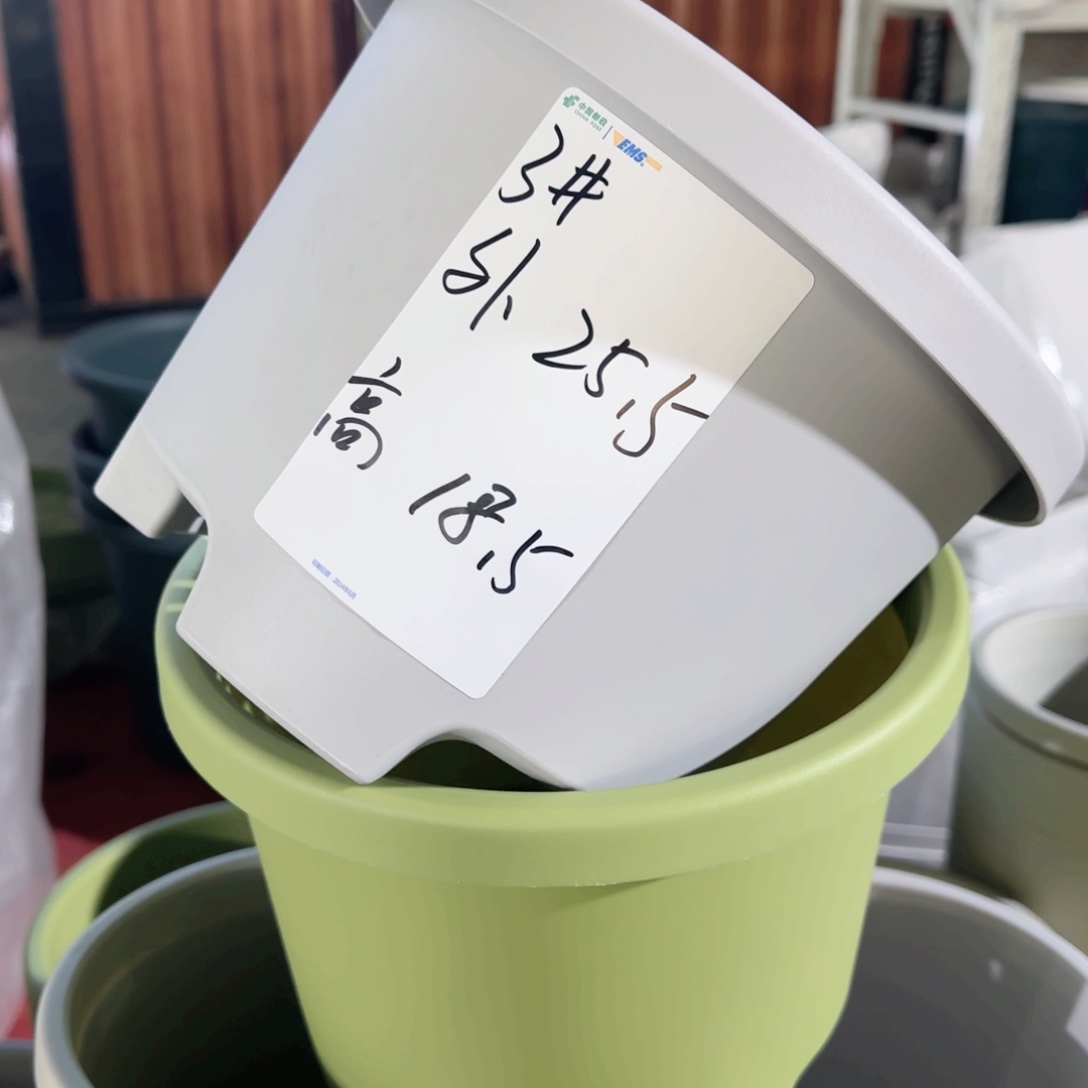 树脂枫*?球根26口带拖果绿5套