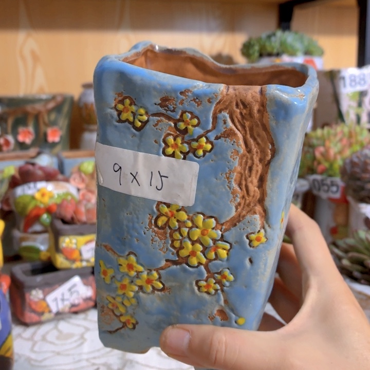 多肉花盆15包邮爱退款拉黑