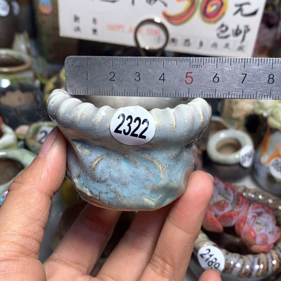 特价花盆拍5送一个小礼物