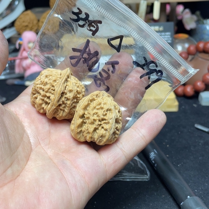 文玩核桃把件执****༽白狮子