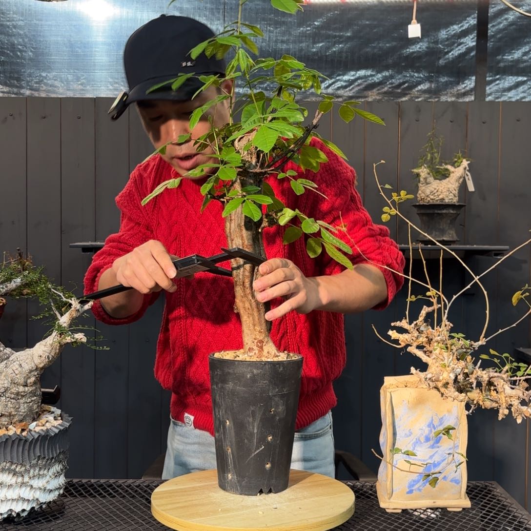 哈哈哈哈哈哈哈哈