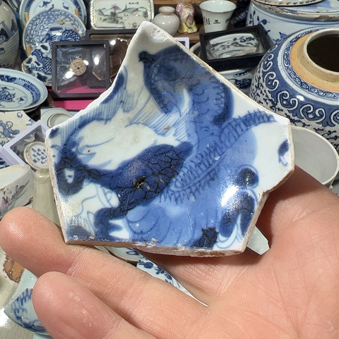 瓷片瓷片标本，全场包邮