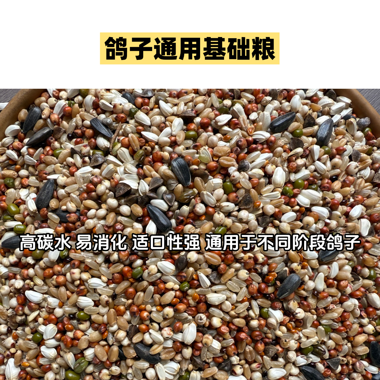 雨星鸽粮粮食鸽子专用高级通用精品基础专用高级通用鸽粮粮