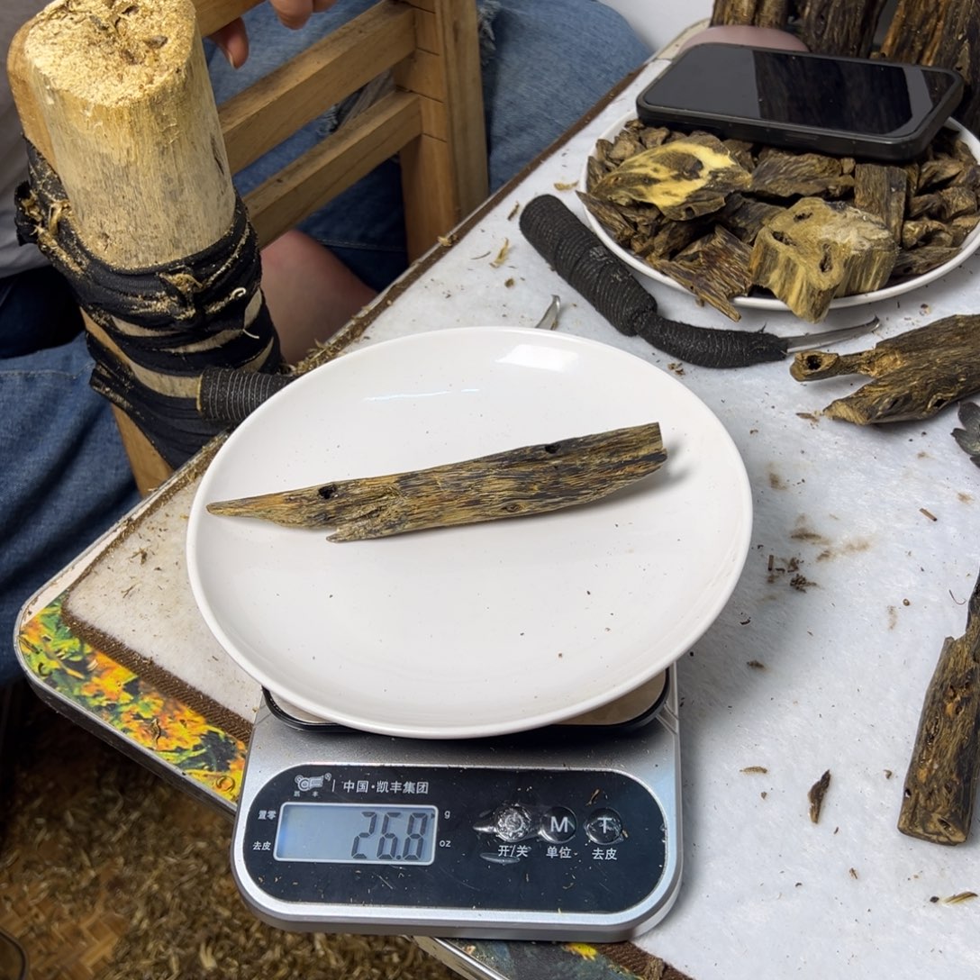 线香奇楠虫漏香26克