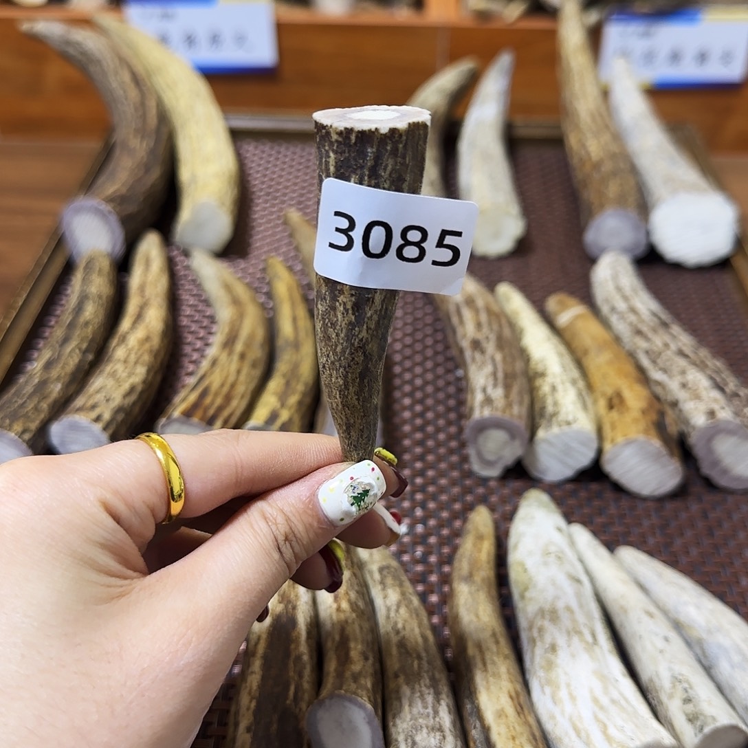 手串/手链鹿骨角尖3085