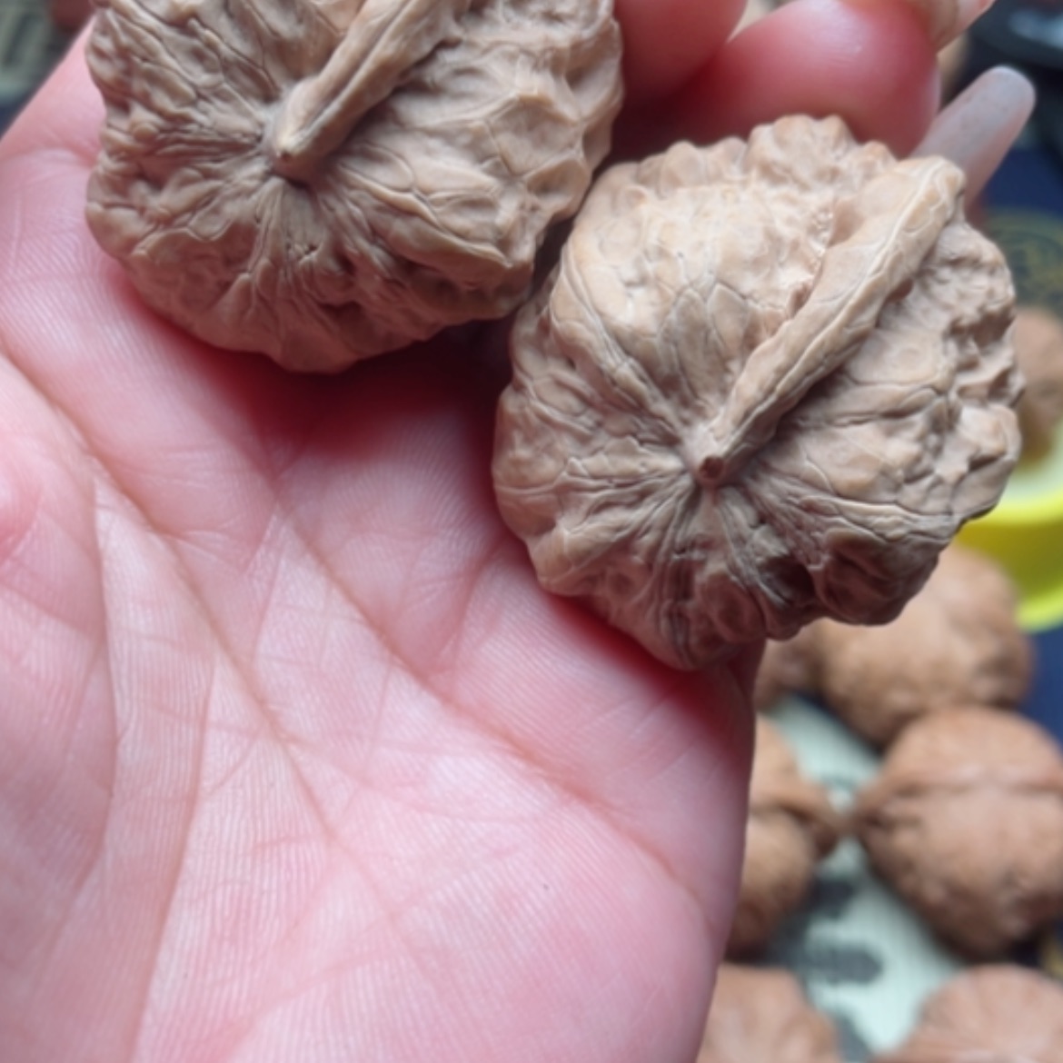 【闪购商品】猴头核桃吊坠蛤蟆头一帆风顺45尺