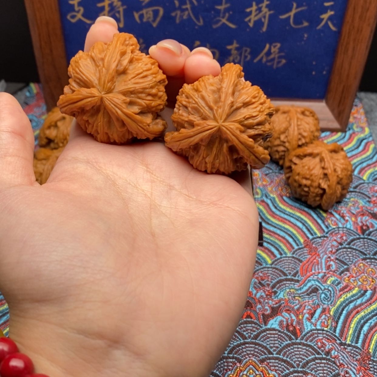 【闪购商品】呵*嗝白狮