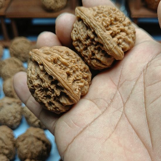 不***谁完全开放南疆石核桃