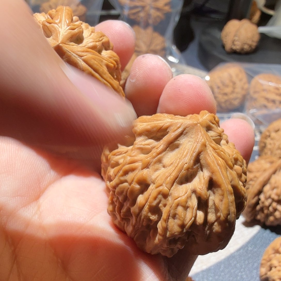 文玩核桃把件我*瞅御龙