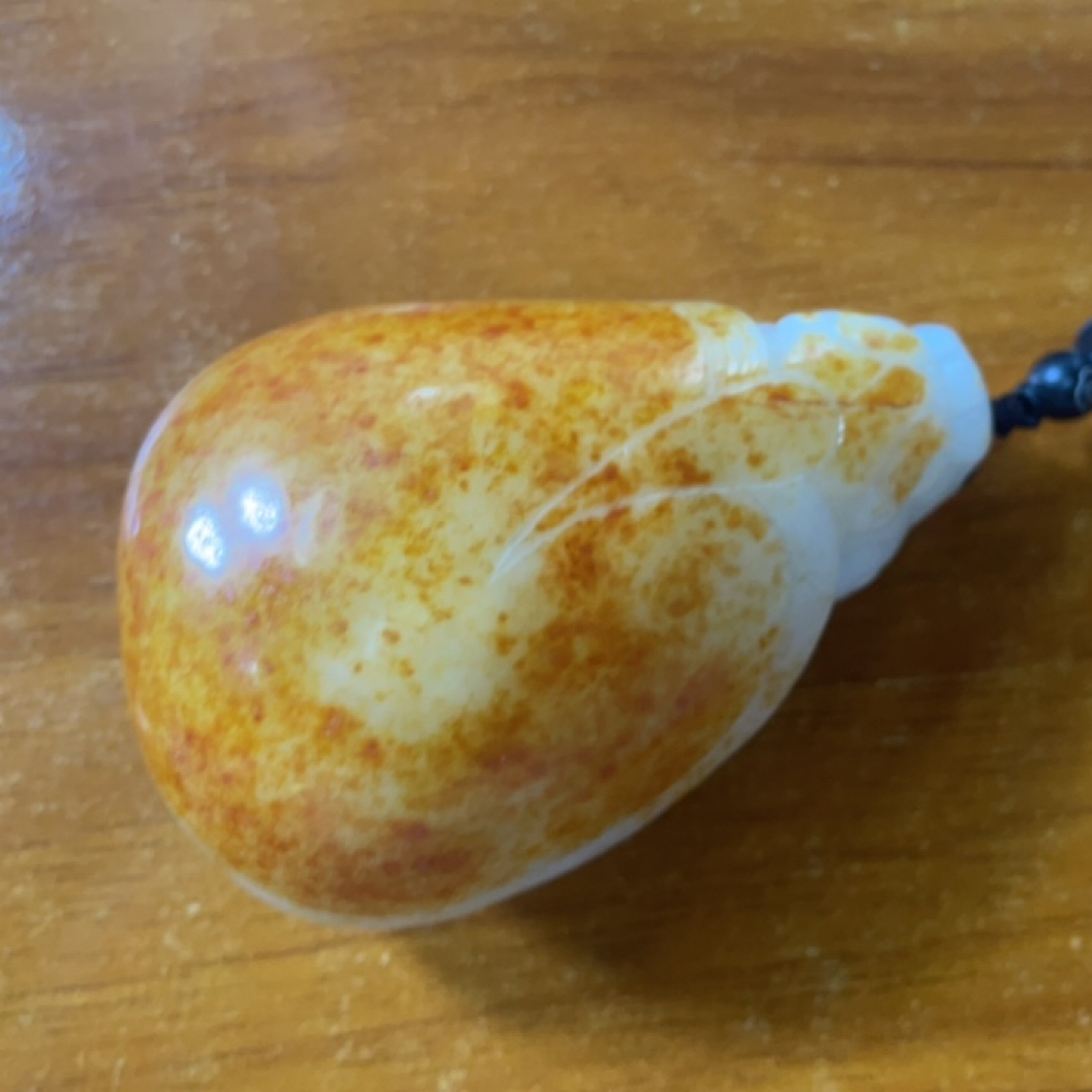 龙龟8.13CC多样性拍一发一