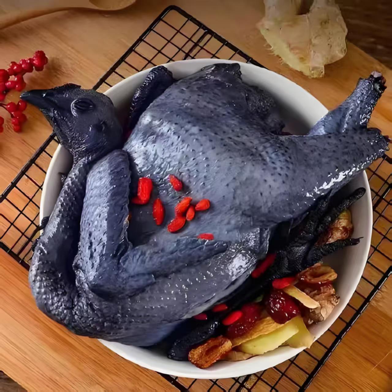 肉质鲜嫩 云南山养鸡五黑鸡 绿壳蛋整鸡