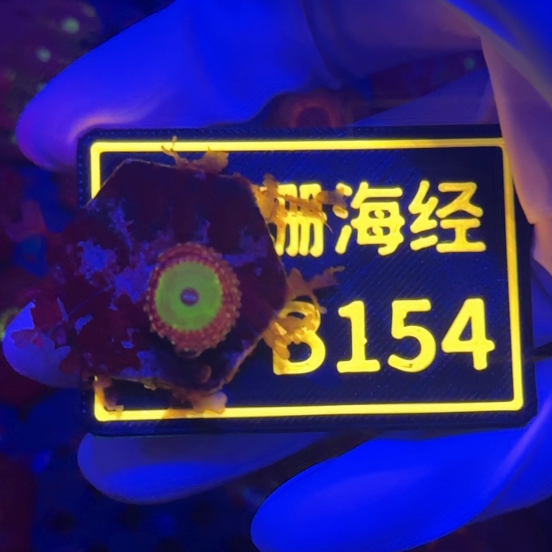 祺***峰纽扣珊瑚又又不包邮纽扣B154