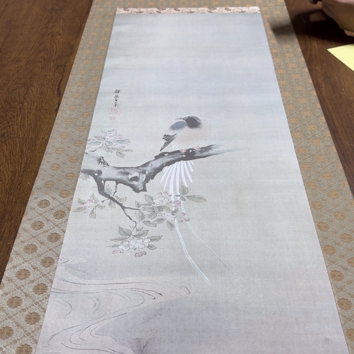 常*飞哈哈哈哈哈174