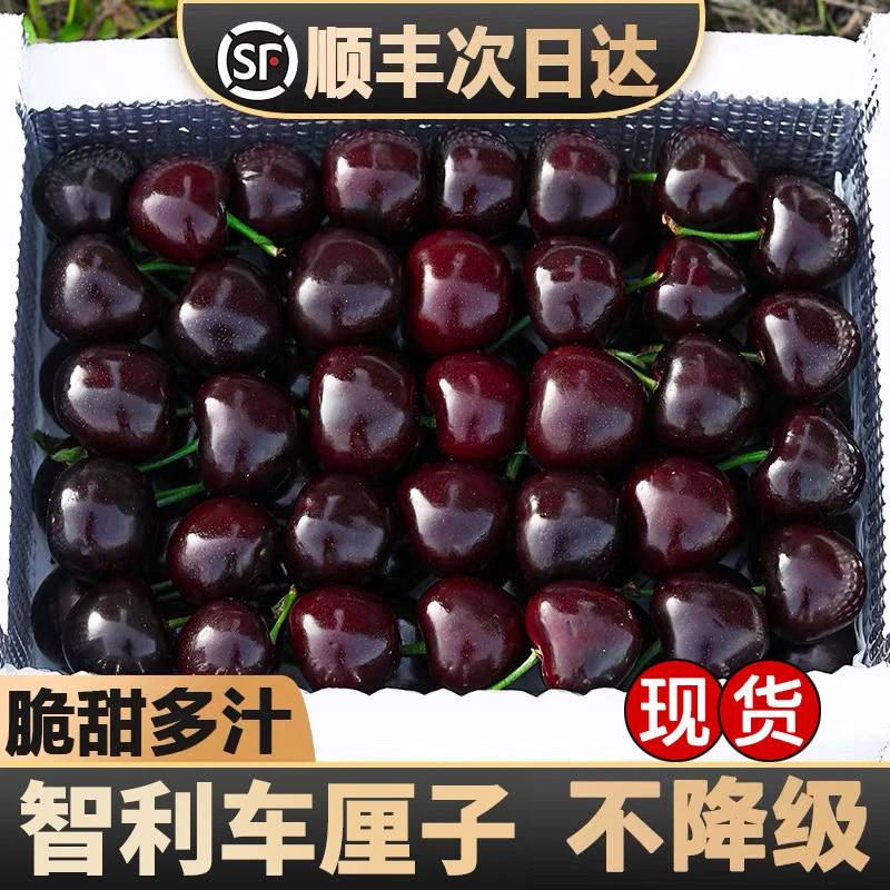 【次日达】4JDD智利进口空运车厘子新鲜水果4J应季礼盒斤内附果径卡桑提娜樱桃智利共和国