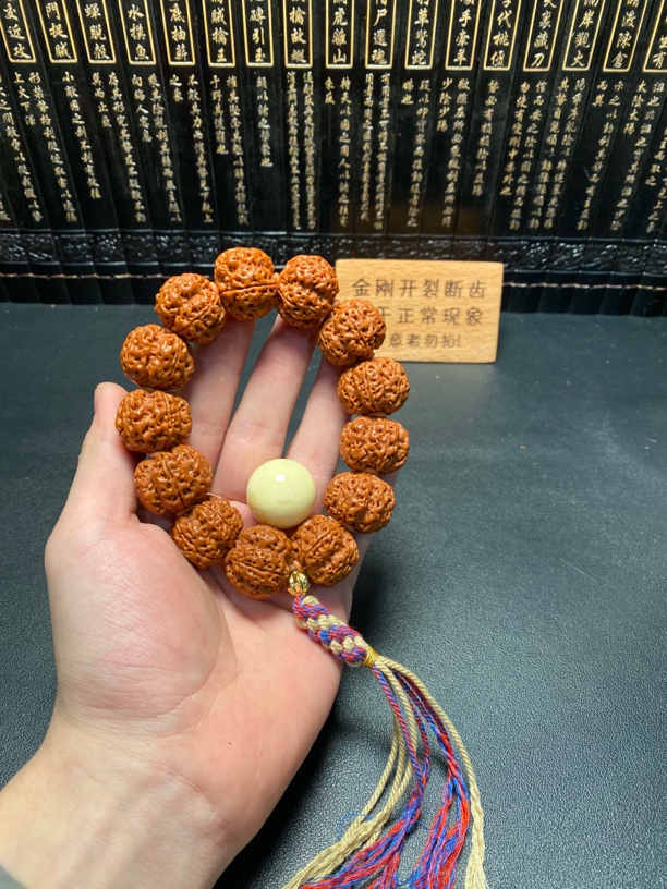高端精品树王梅花（26号）