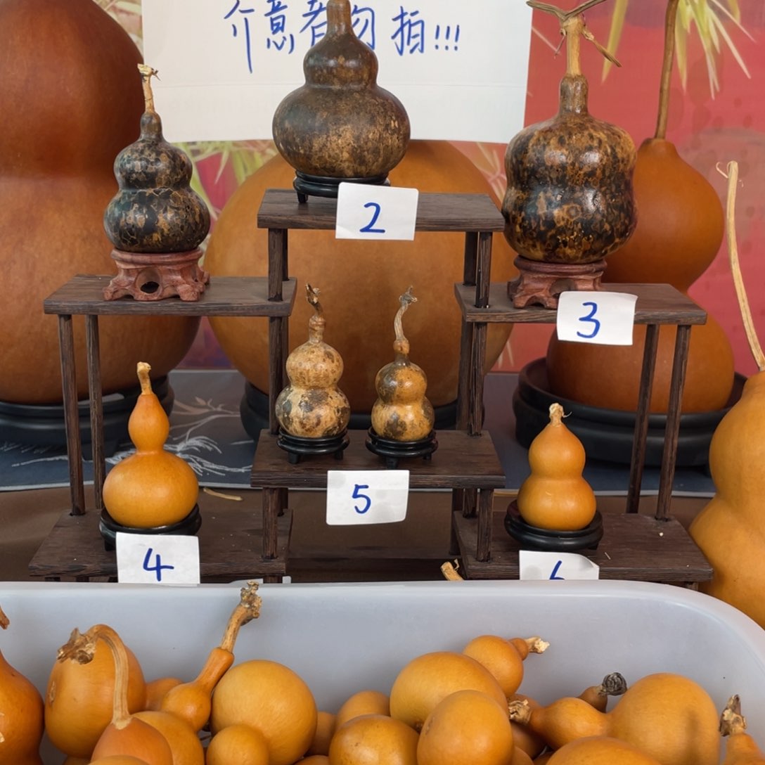 有机玻璃虾***3葫芦