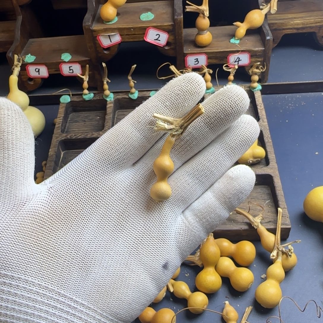 珍***C我也是很喜欢这个节目的呢