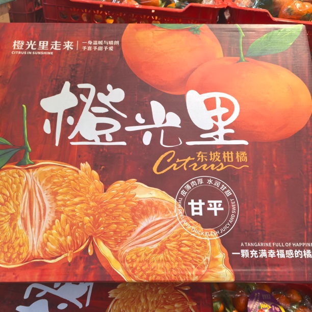 橙光里甘苹（9-10枚大果）