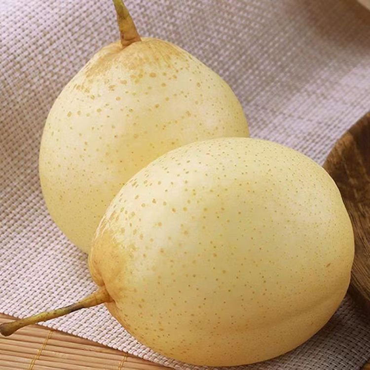 正宗河北水晶梨新鲜水果大鸭梨子脆甜整箱梨子非雪梨皇冠3-10斤