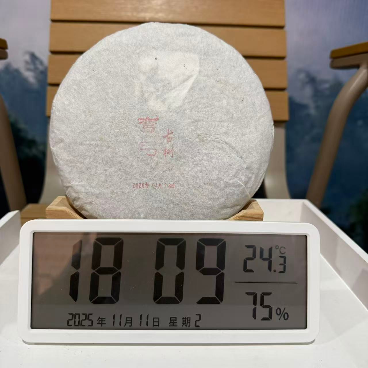 C11-张平-2020年头春易武过河弯弓古树头春普洱茶357克/饼