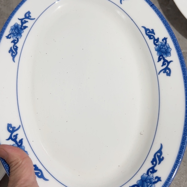 杯十二寸青韵鱼盘一个