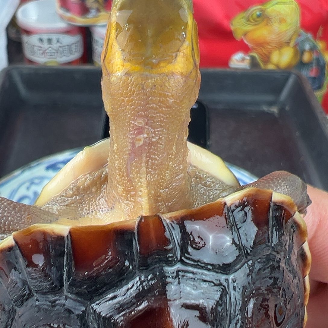 母Y**S安安安包房吧你