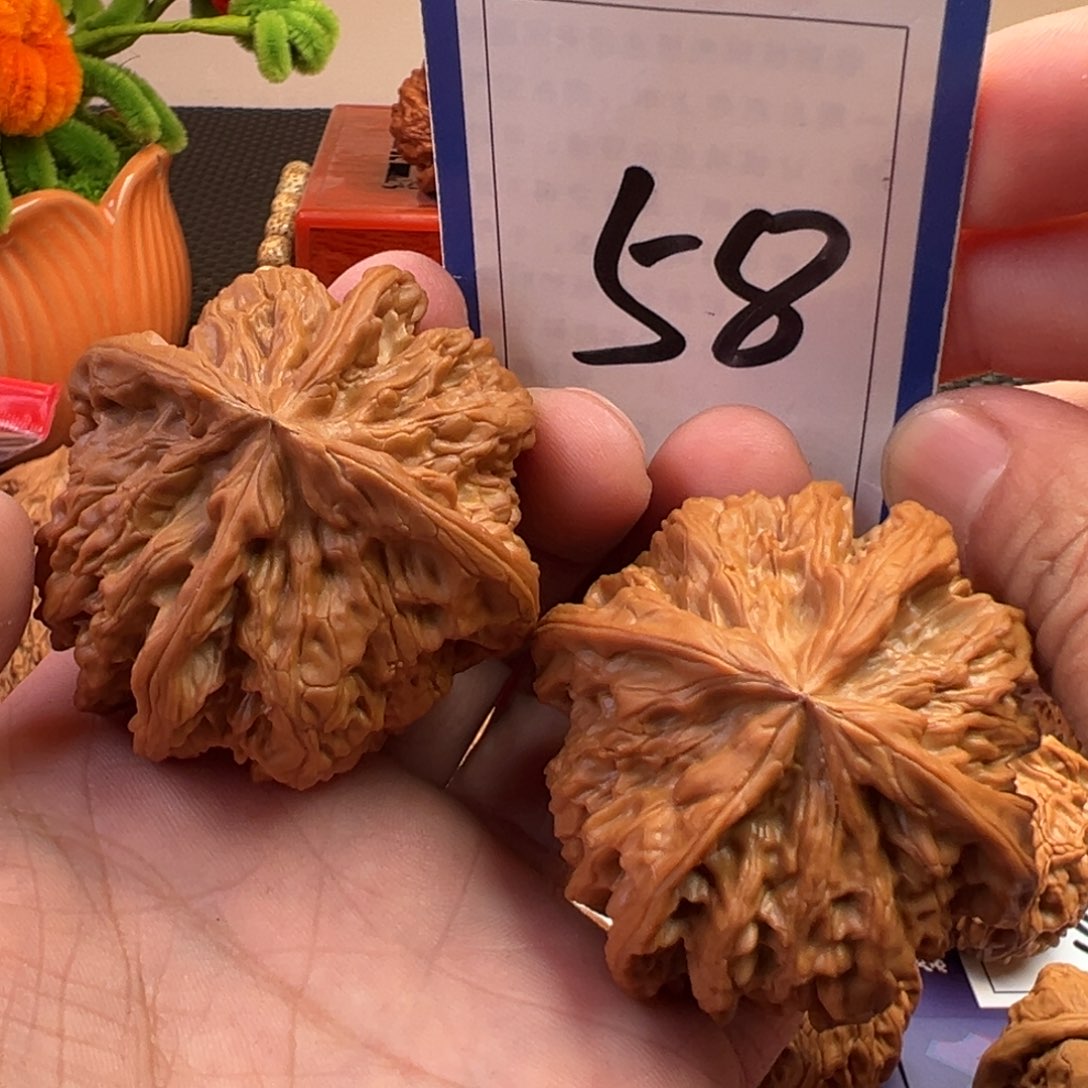 文玩核桃把件野牛正四棱53尺寸58号