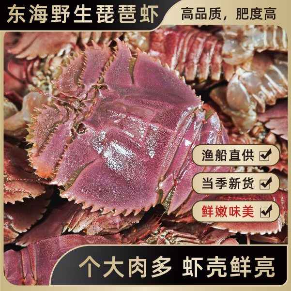 【赛龙虾】东海野生深海琵琶虾海鲜爬虾(充氧打包 包鲜 不包活)
