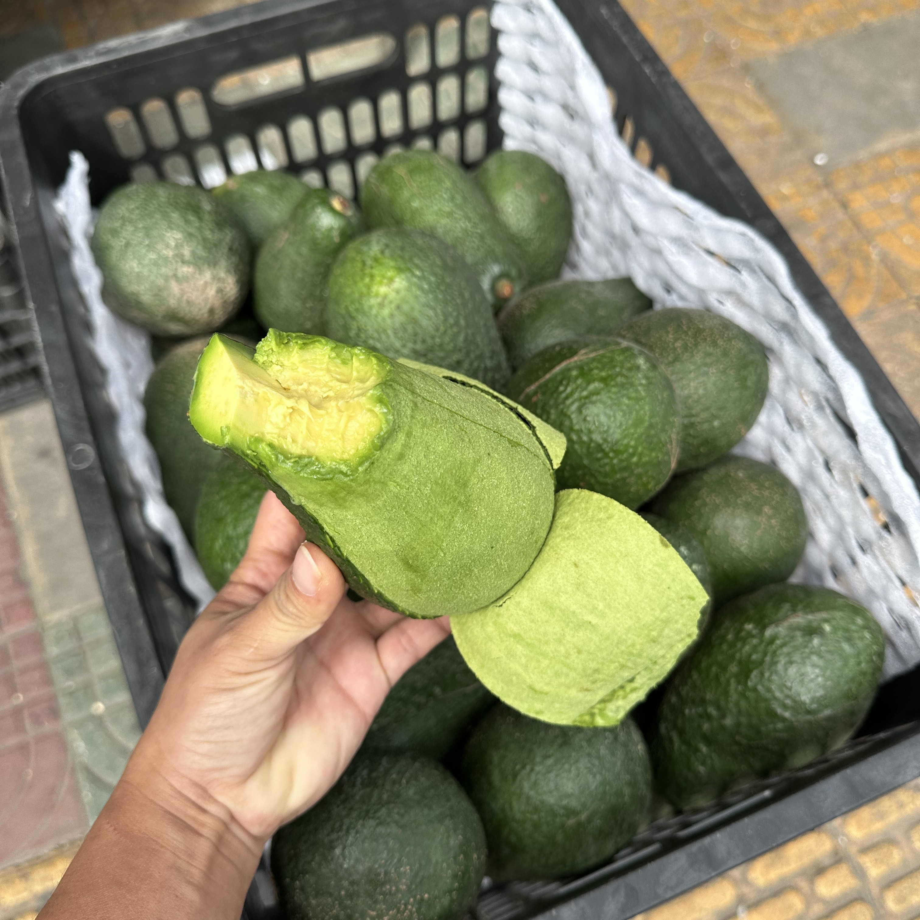 牛油果大果12元一个。