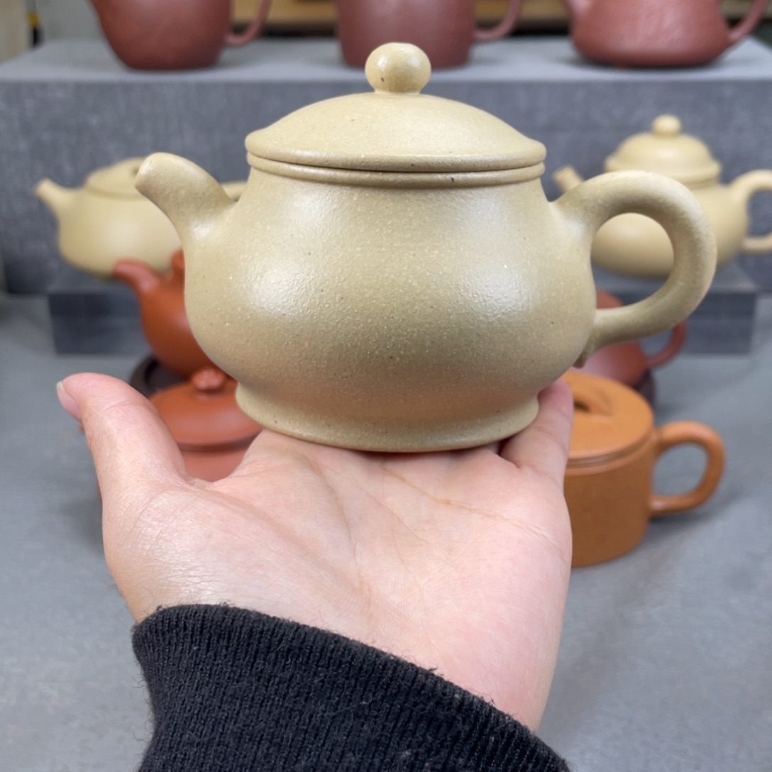 一***虫紫砂茶壶紫砂壶200毫升左右