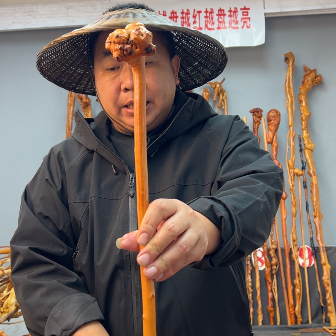 黑果木其他黑果木626