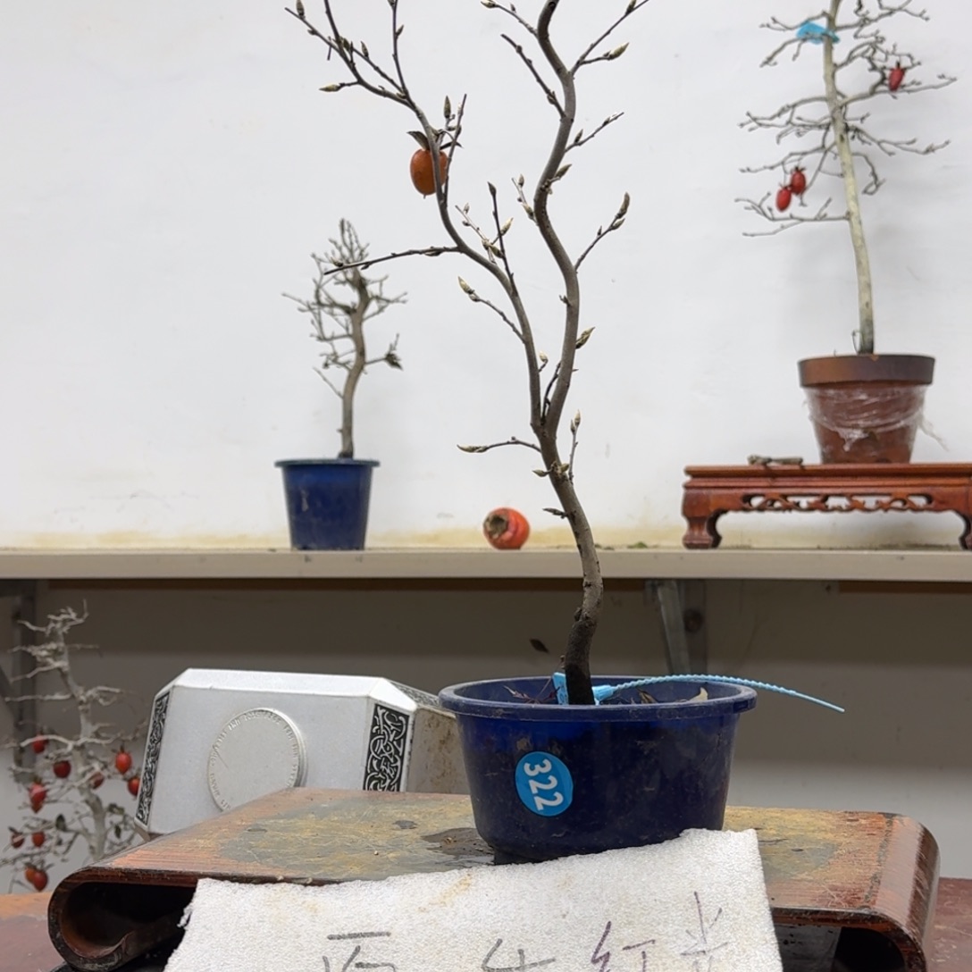 蓝***天无花朵322顺丰到付不包邮