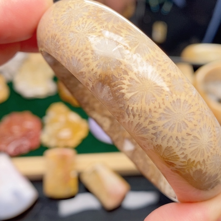 硅化珊瑚（珊瑚玉）手镯未镶嵌56