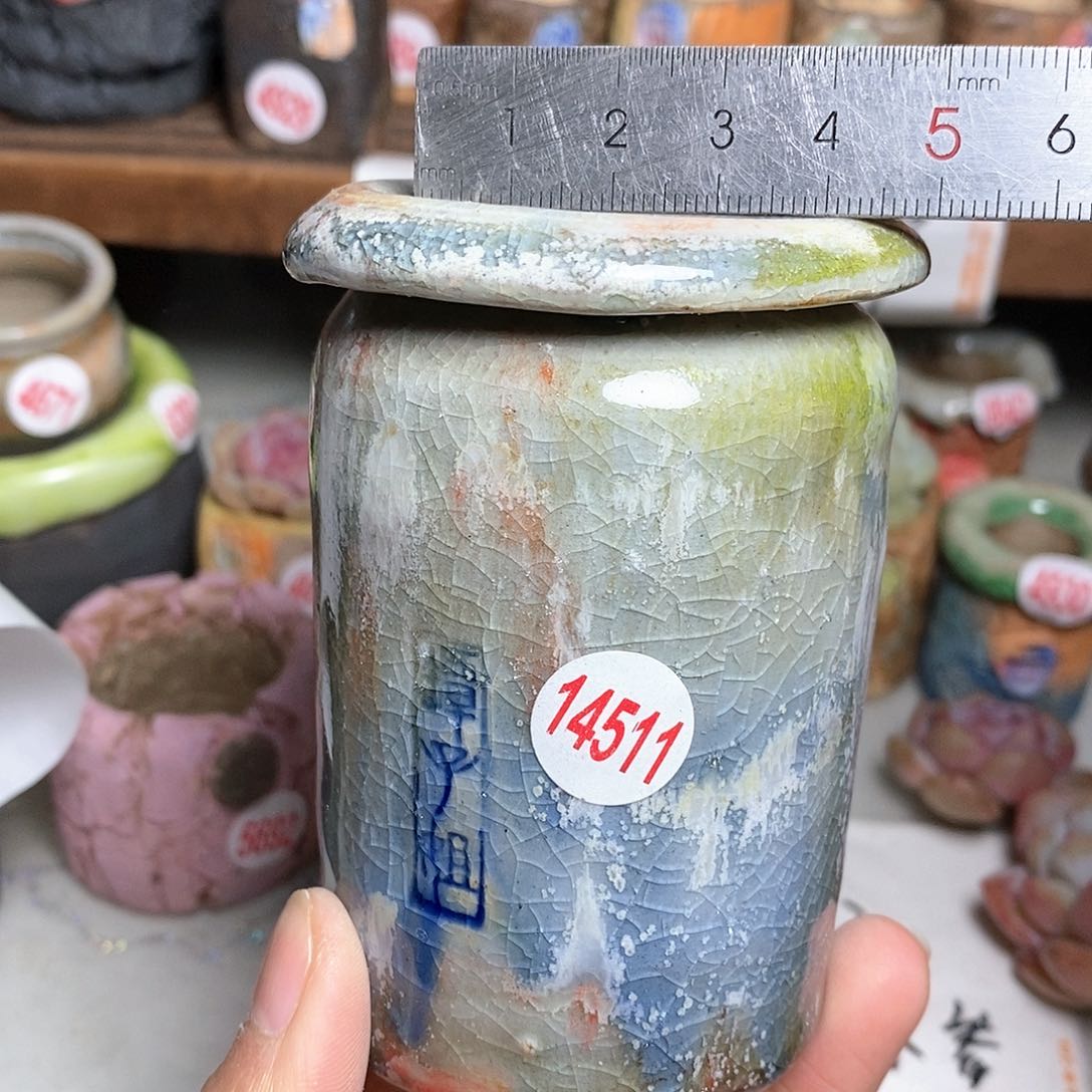 红陶拍5送一个小