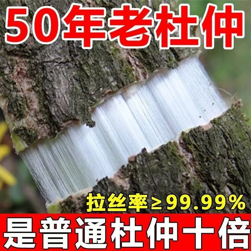 【略阳杜仲】泡茶/泡酒/煮水/煲汤陕西汉中特产秦岭深山老树杜仲皮