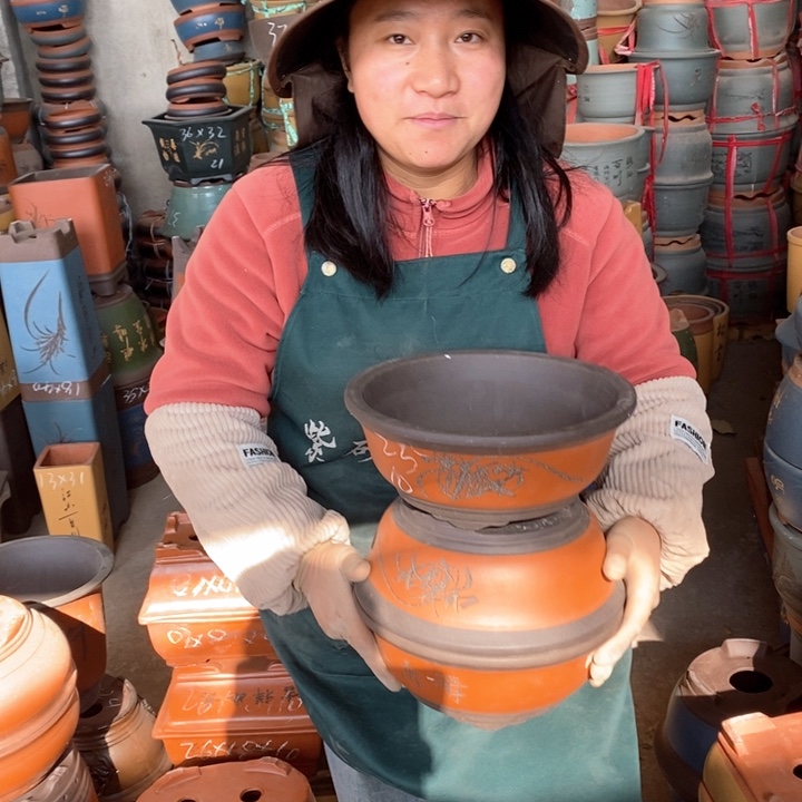 紫砂花盆盆栽花卉苗木种植