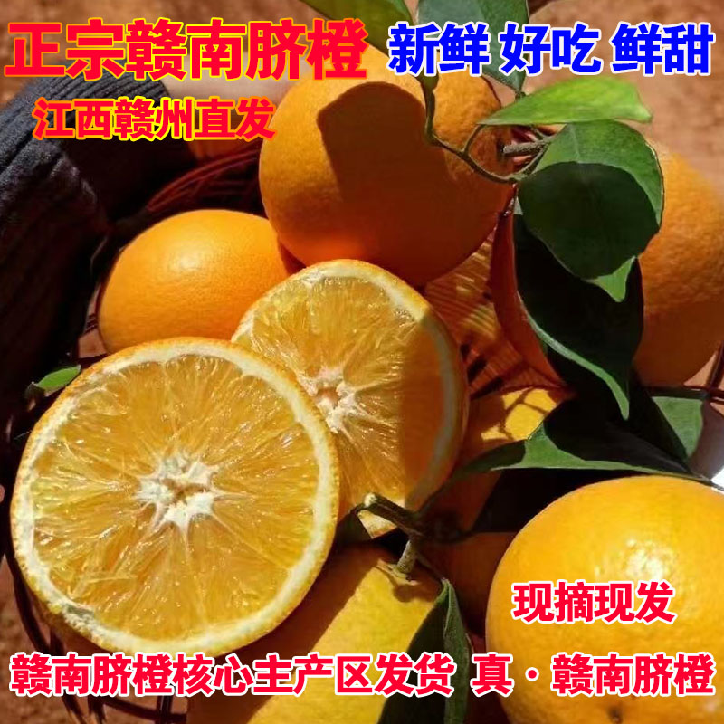 正宗江西赣南脐橙孕妇水果甜橙子新鲜采摘产地直发应季爆汁大果VC