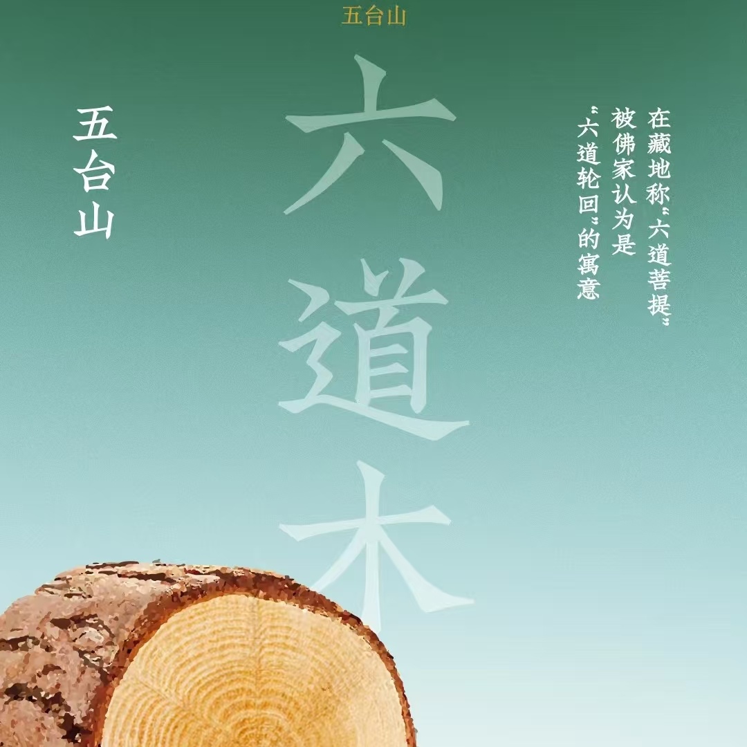 五台山六道木［生财］时尚男款简单大气佩戴规格尺寸手串10.8