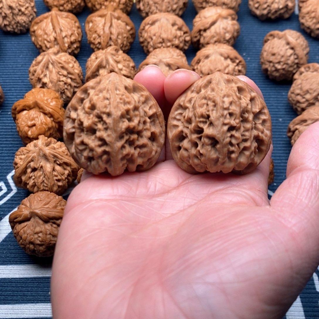 橄榄核手串/手链野牛40