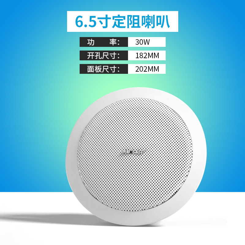 先科单独定阻家用吸顶音响
