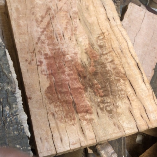 风***木大果紫檀（缅甸花梨）