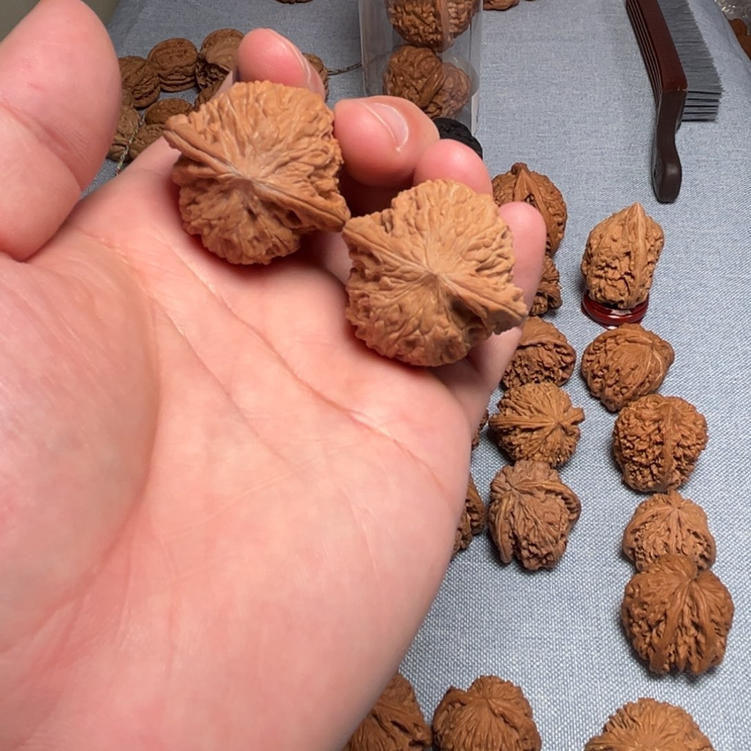 37磨盘核桃核桃核桃