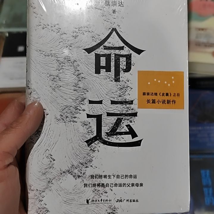 蔡崇达命运命运精装