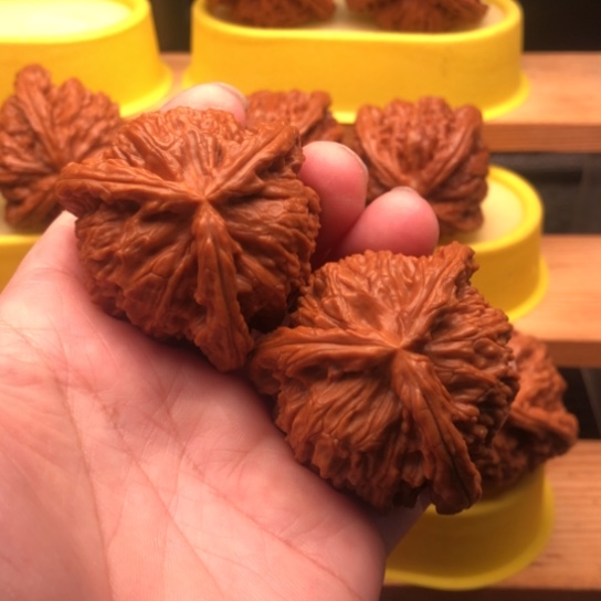 羊***歌吊坠文玩核桃核桃