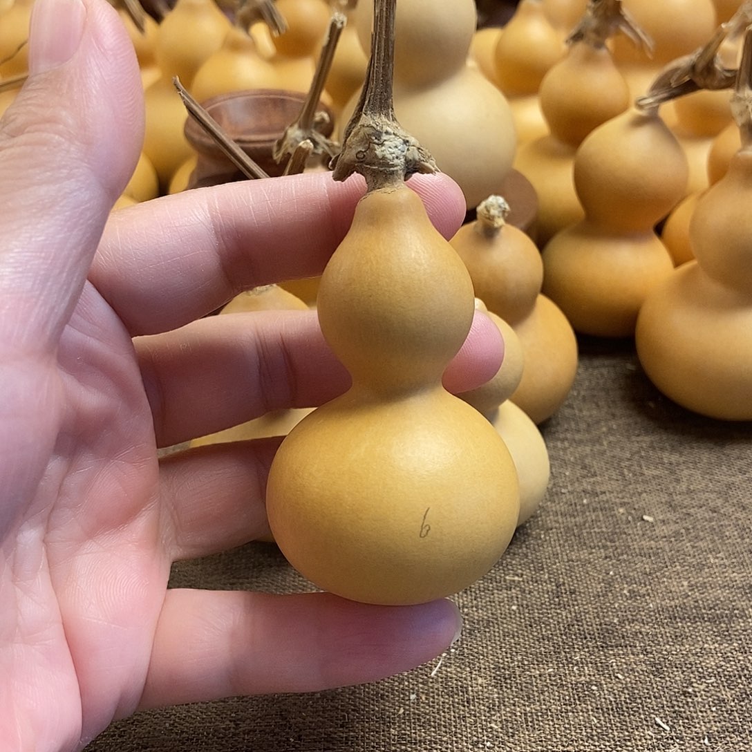 文玩葫芦 完美主义者 慎拍6
